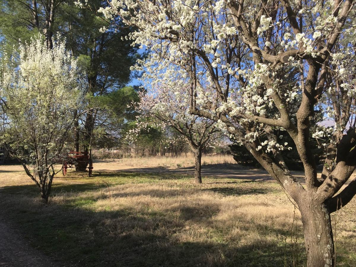 Posada Buen Camino 诺诺 外观 照片